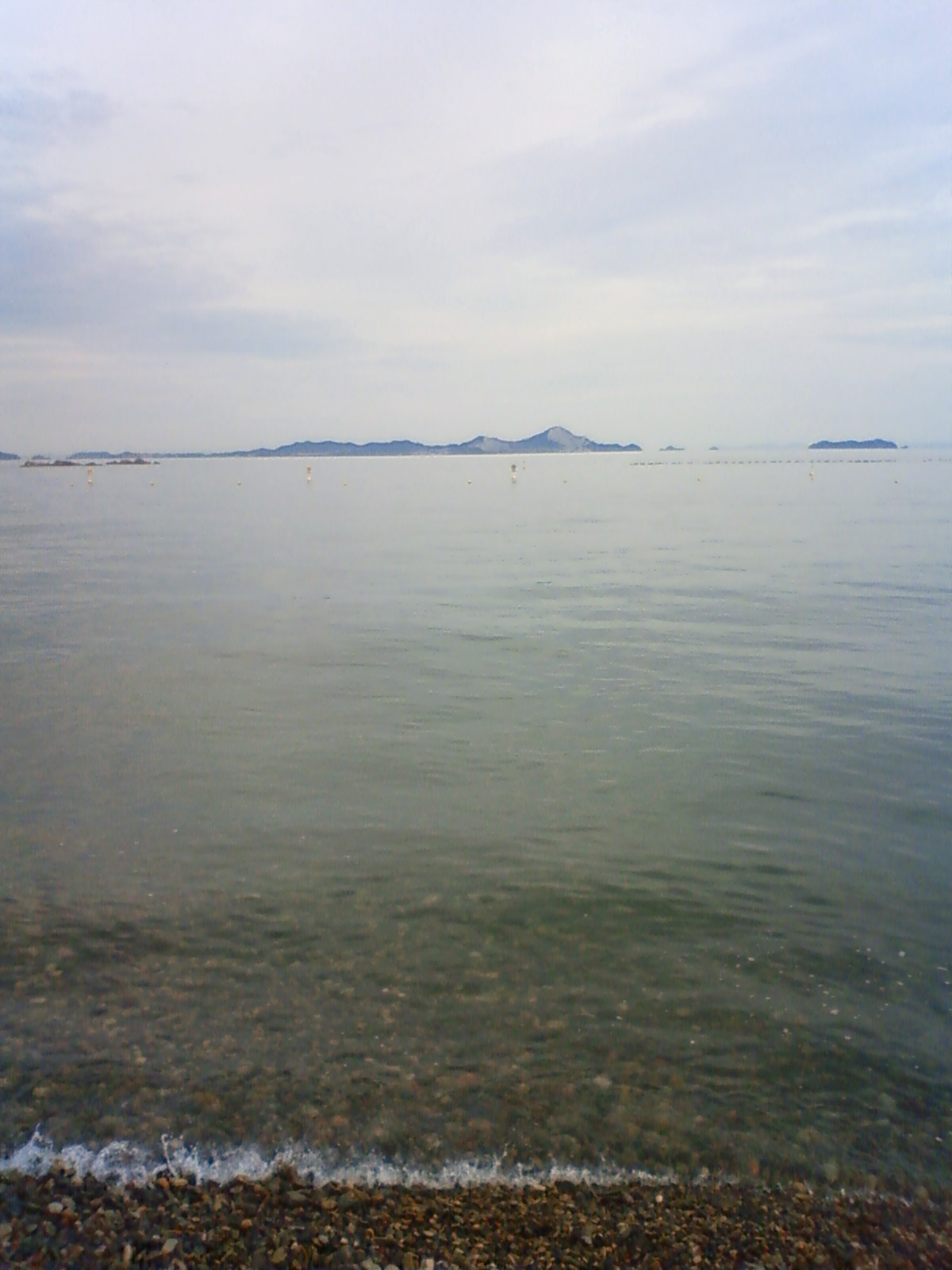 NEC_0760.JPG