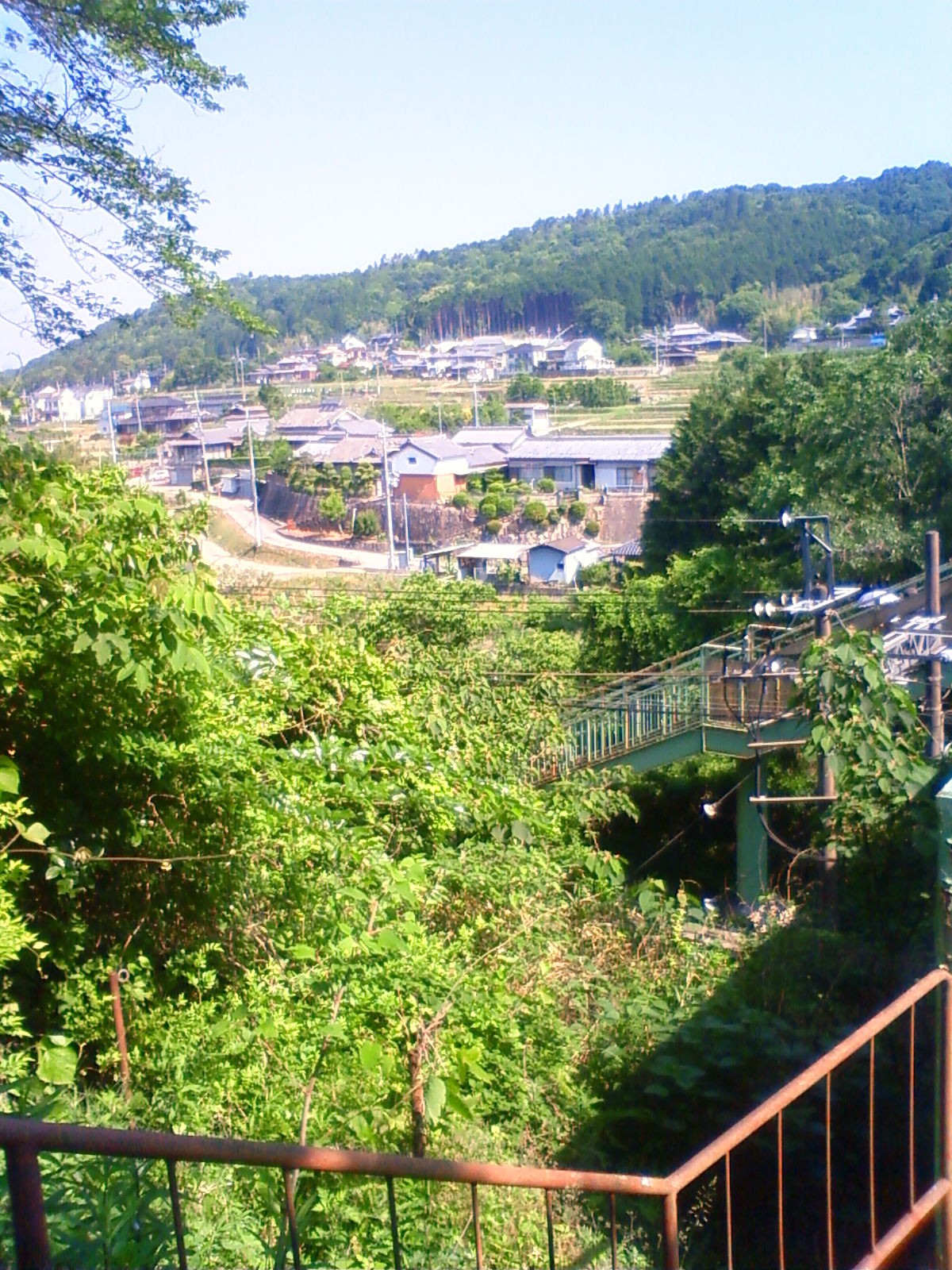 NEC_1974.JPG
