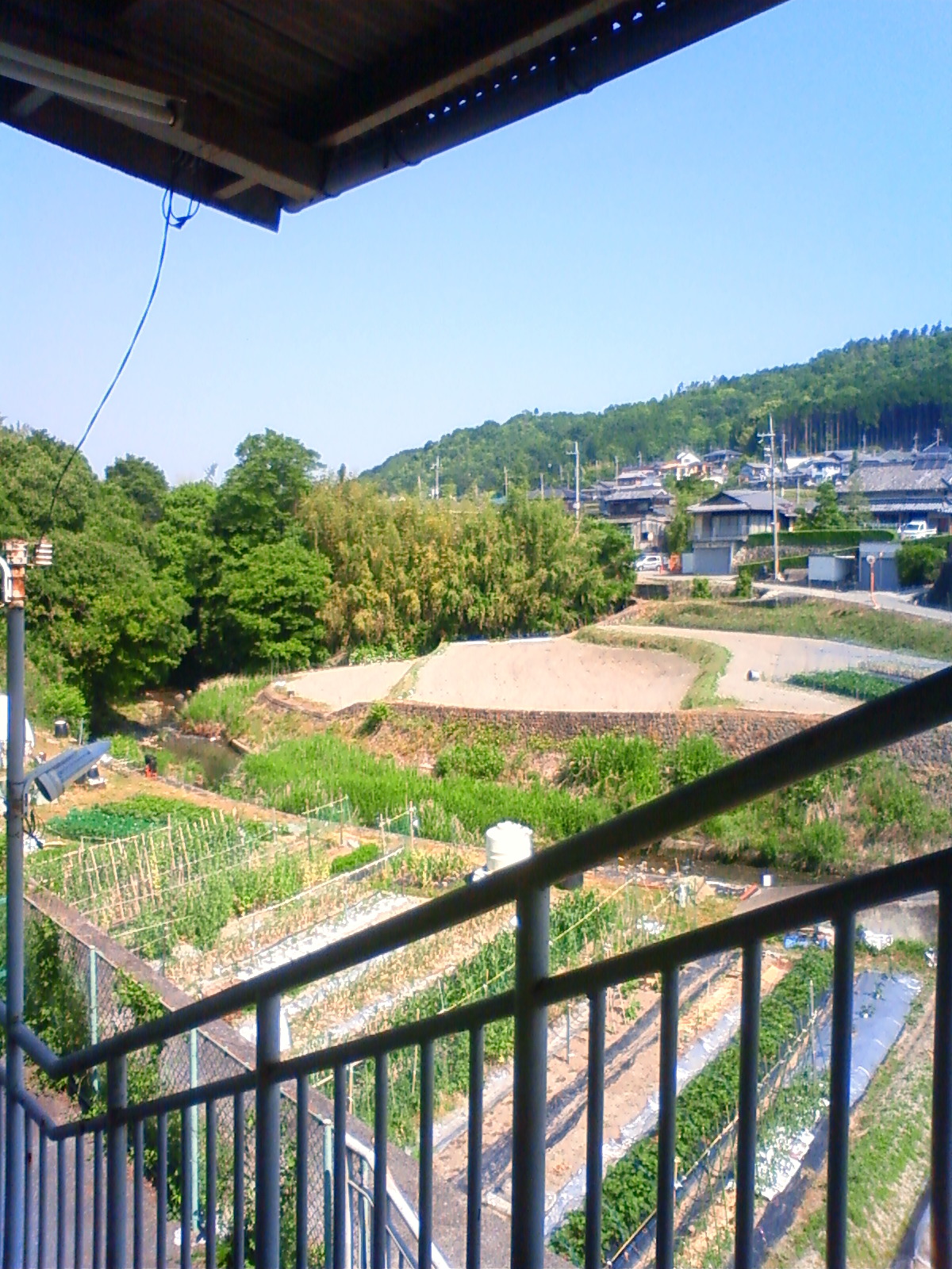 NEC_1998.JPG