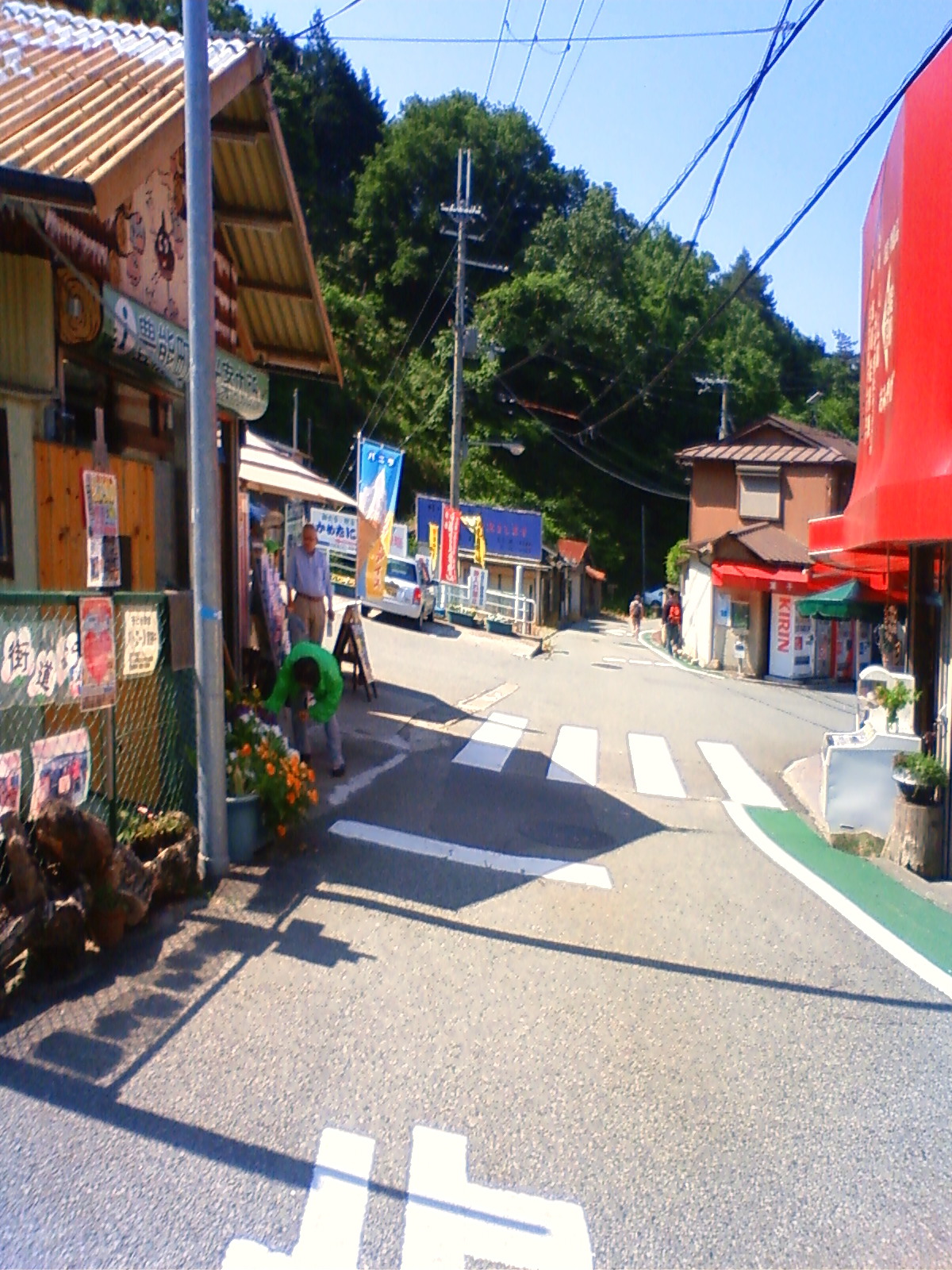 NEC_2010.JPG