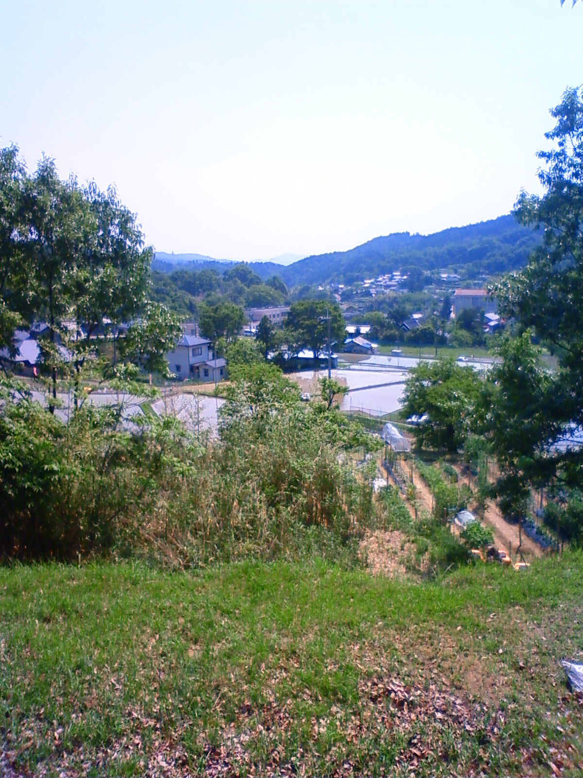 NEC_2021.JPG