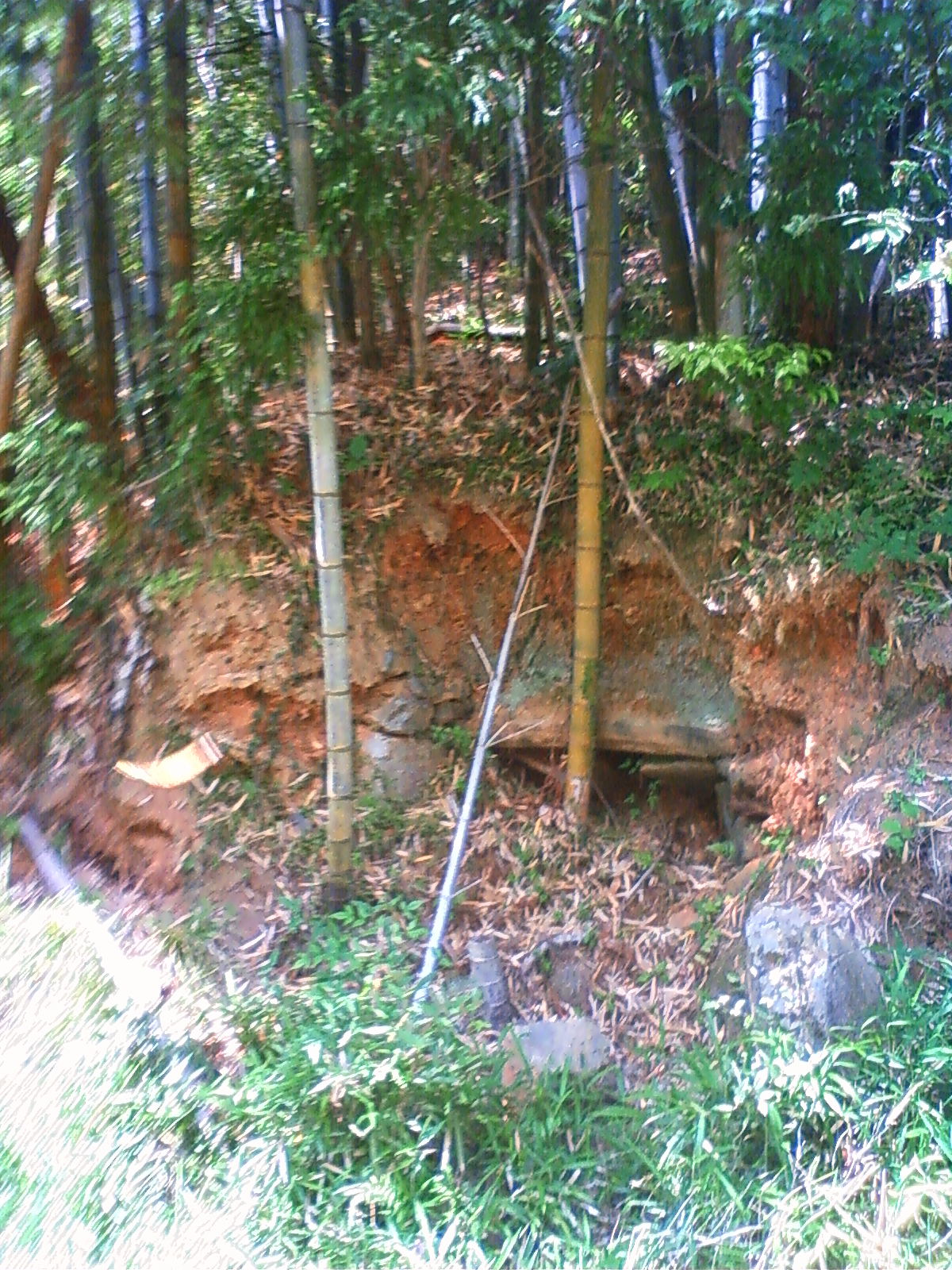 NEC_2023.JPG