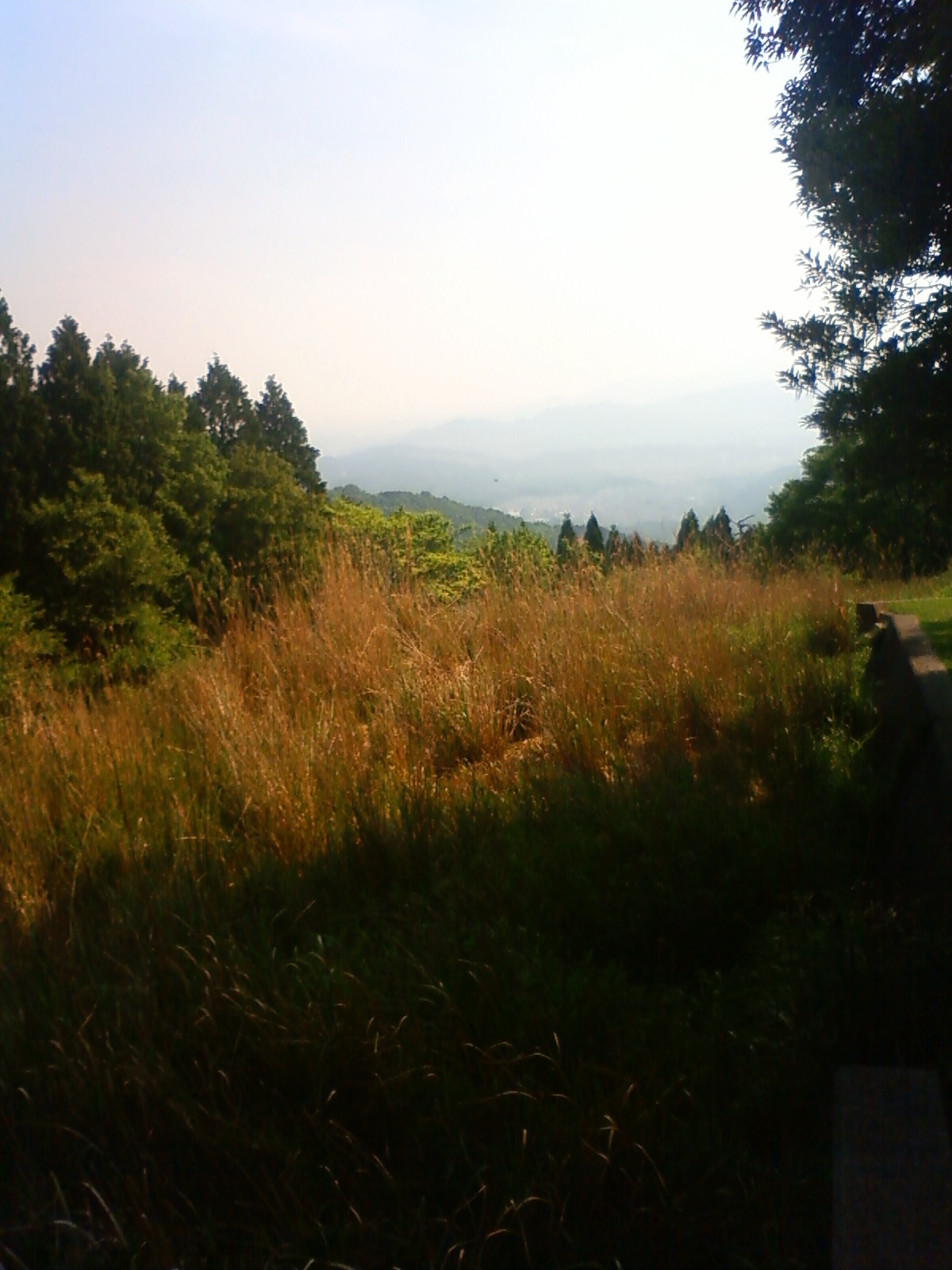 NEC_2048.JPG