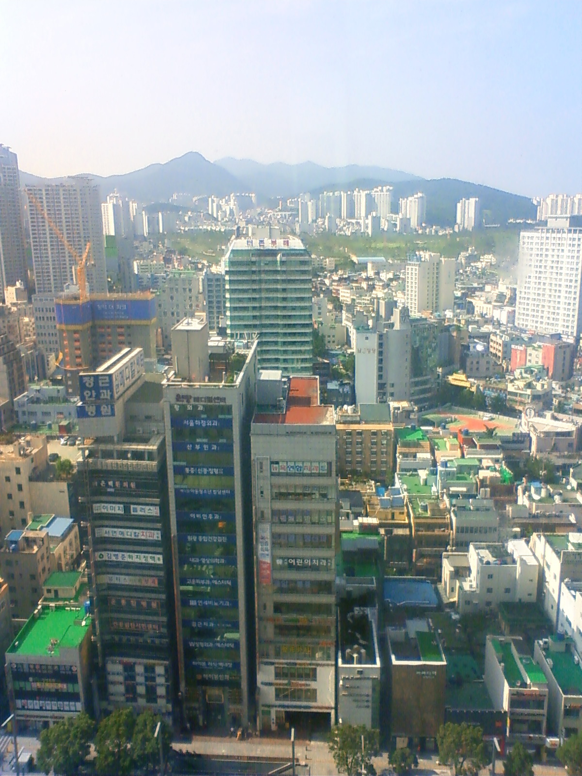 NEC_2161.JPG