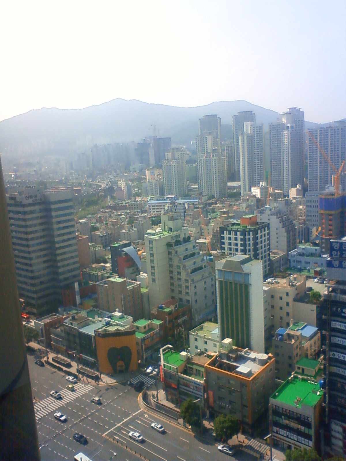NEC_2162.JPG