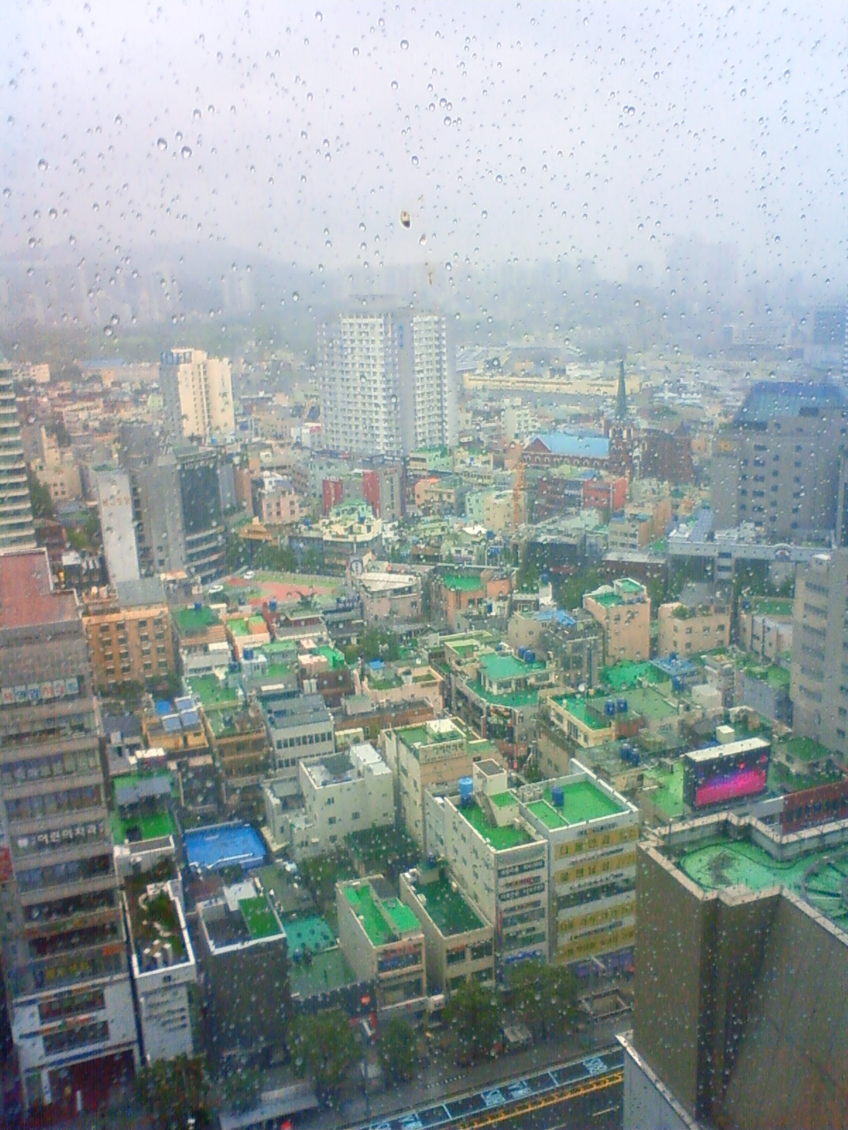 NEC_2176.JPG