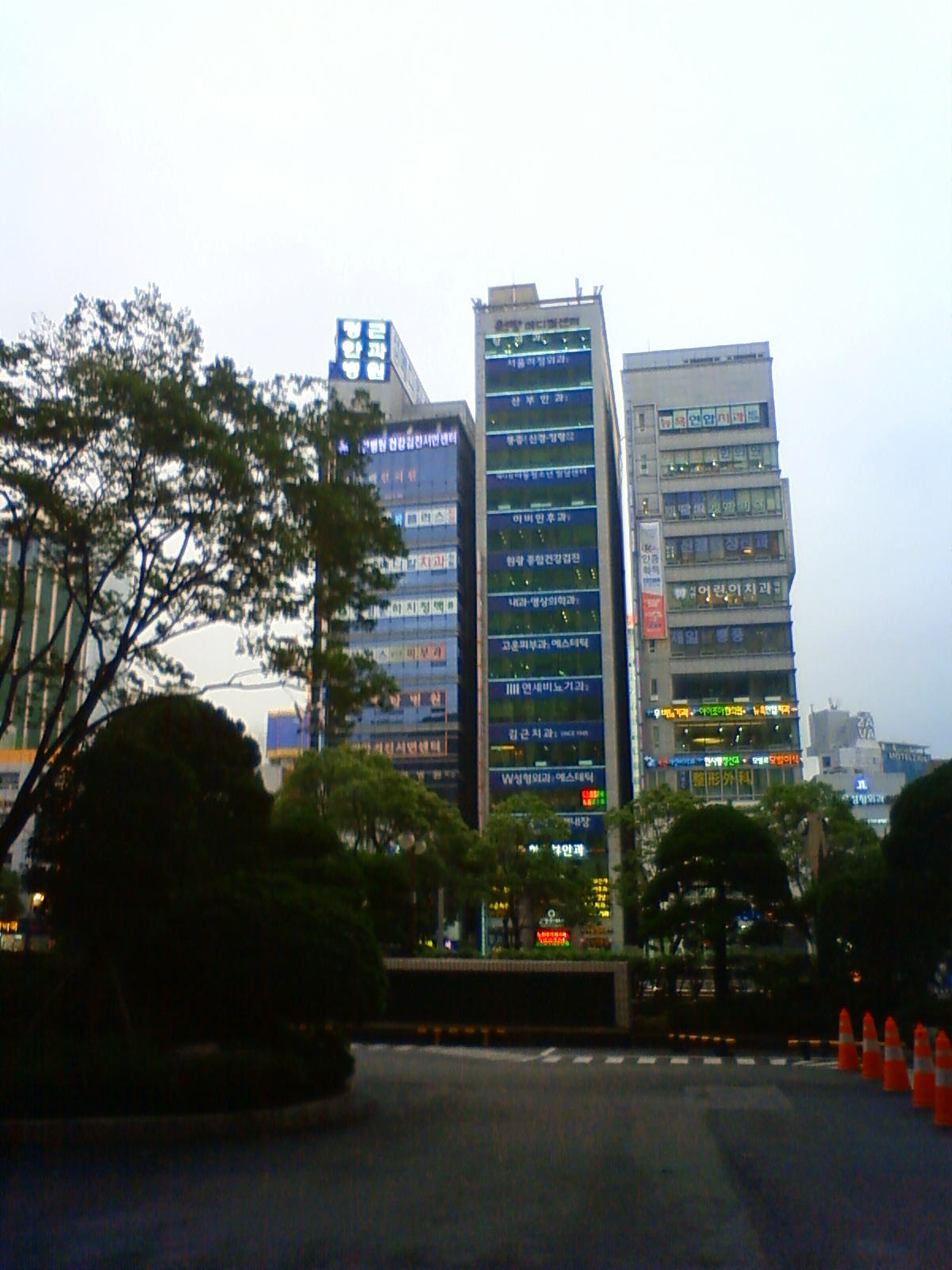 NEC_2180.JPG
