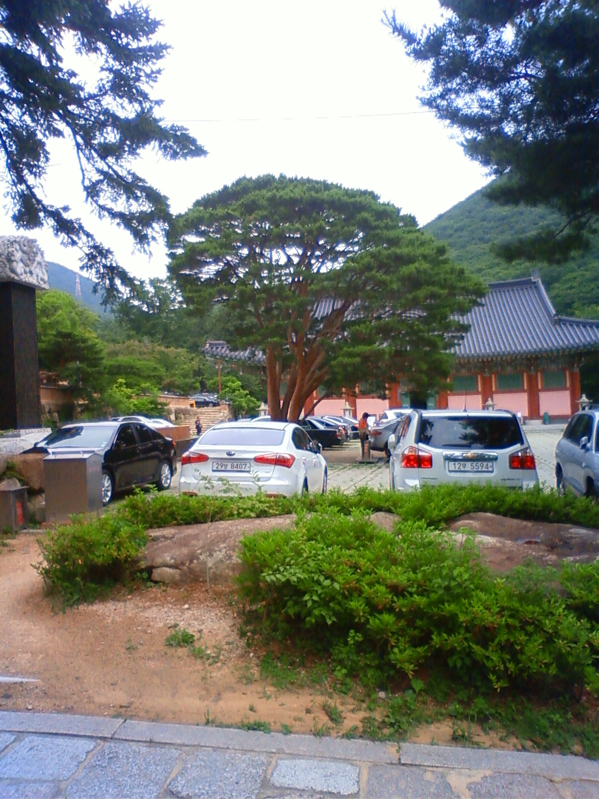 NEC_2202.JPG