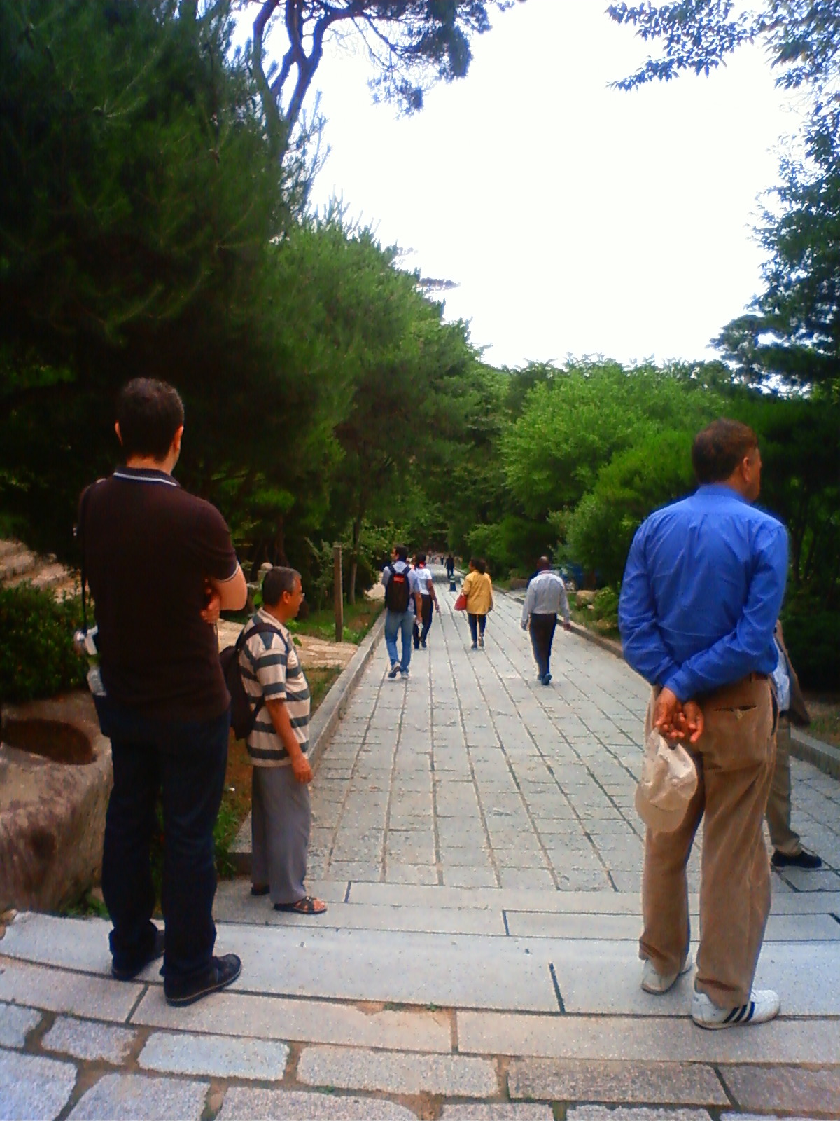 NEC_2203.JPG