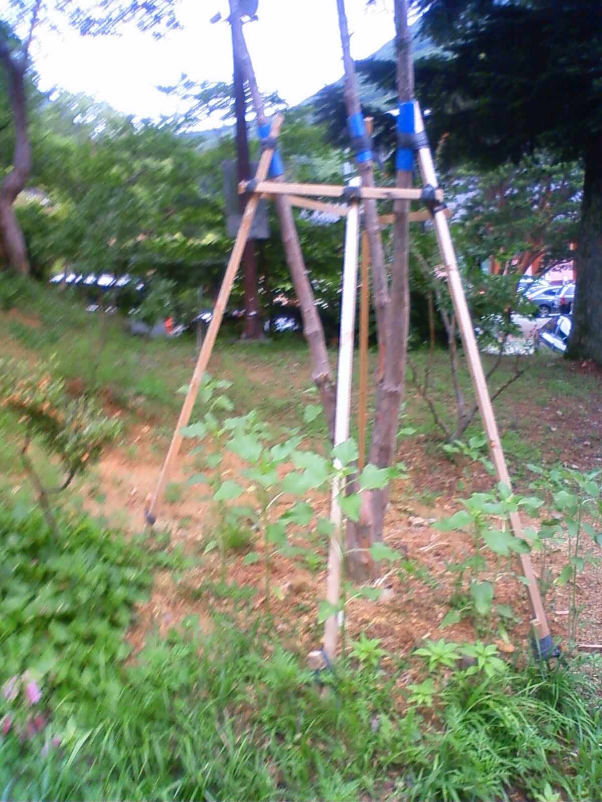 NEC_2205.JPG