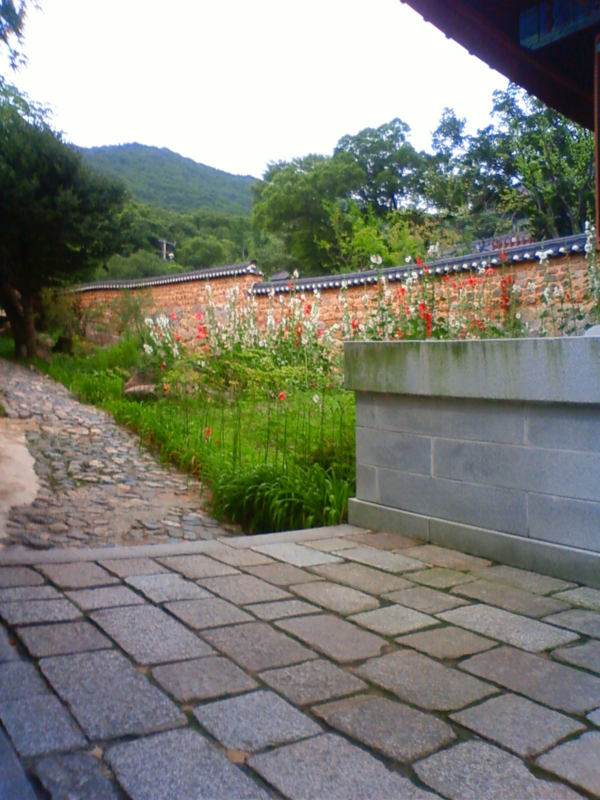 NEC_2207.JPG