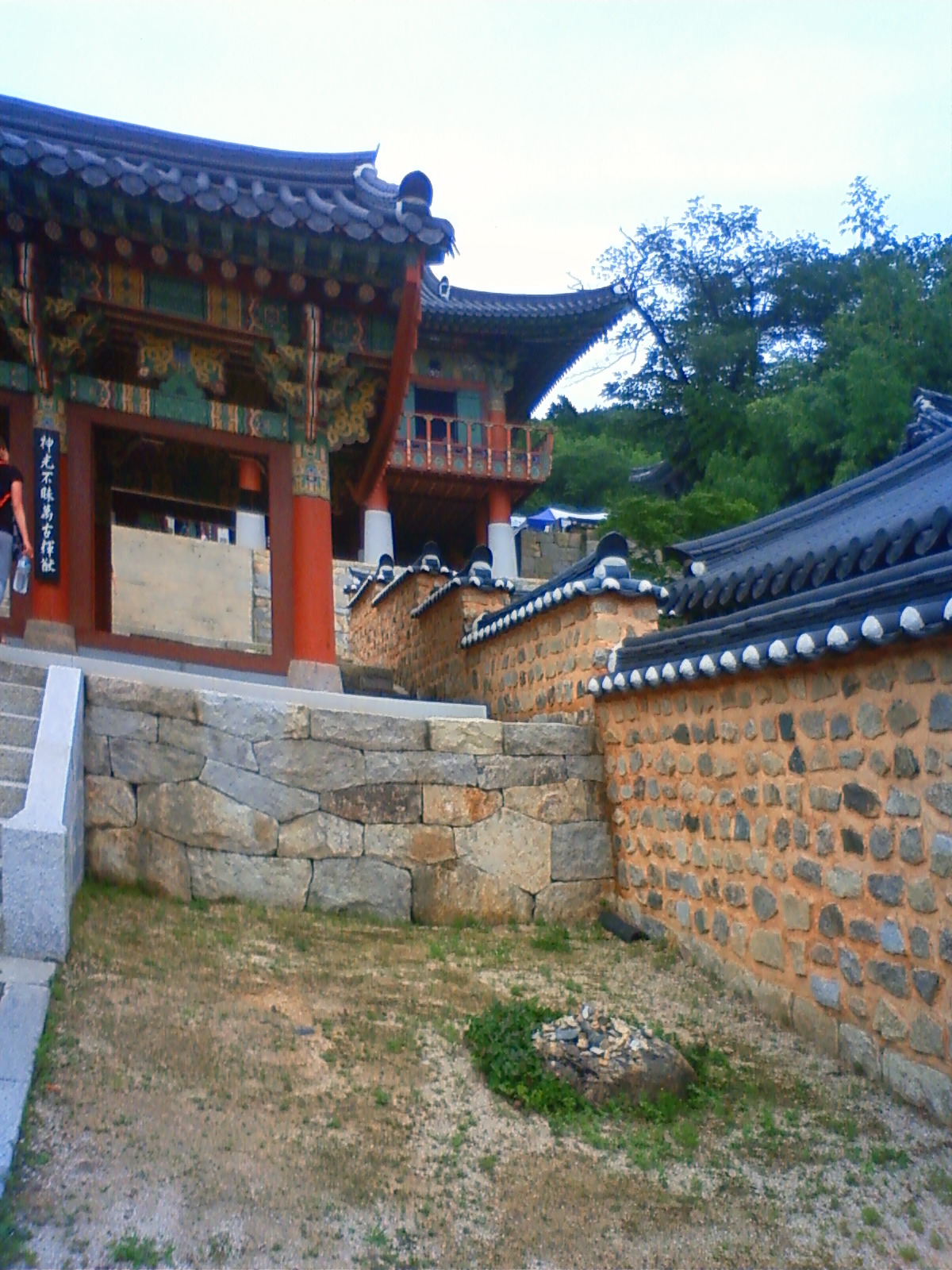NEC_2209.JPG