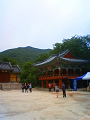 NEC_2214_thumb.png