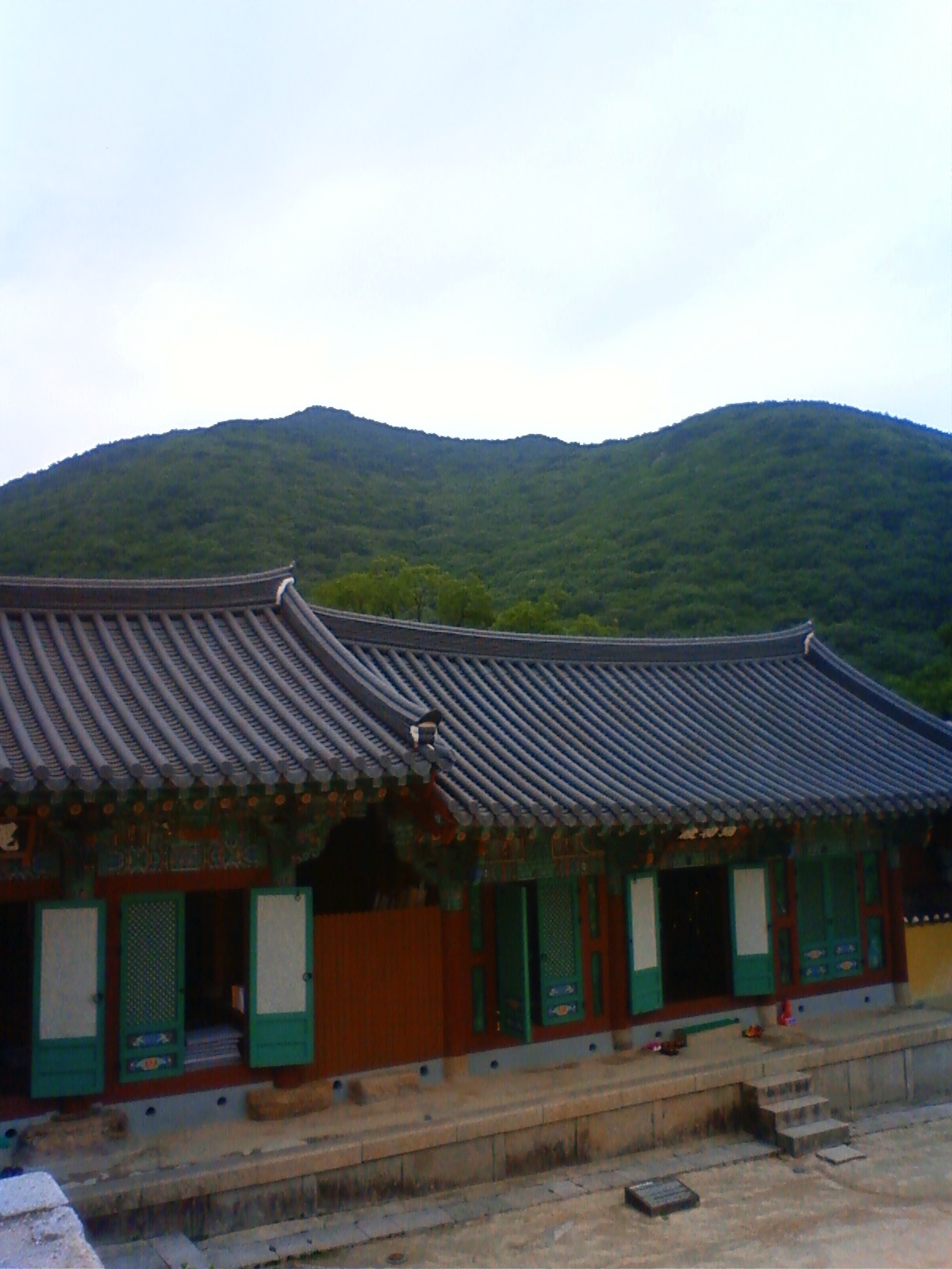 NEC_2216.JPG