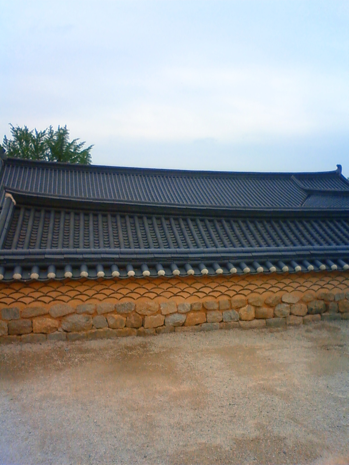 NEC_2219.JPG
