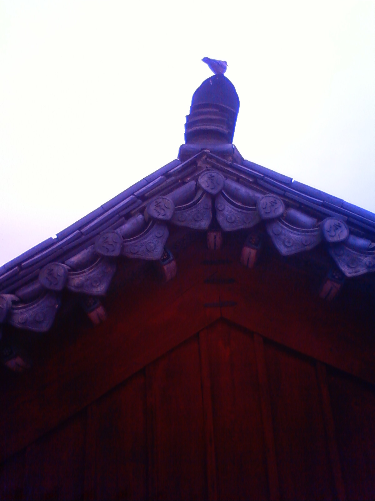 NEC_2220.JPG