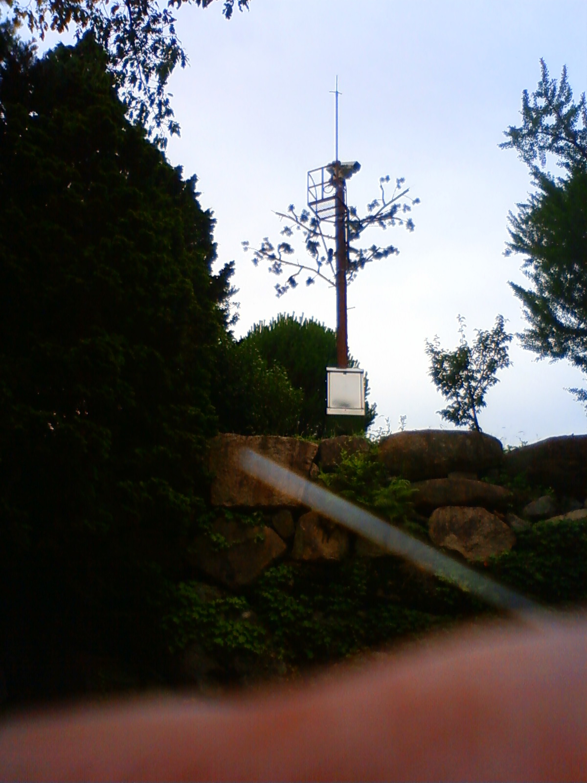 NEC_2222.JPG