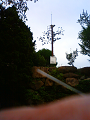 NEC_2222_thumb.png