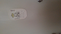 KIMG0216_thumb.png
