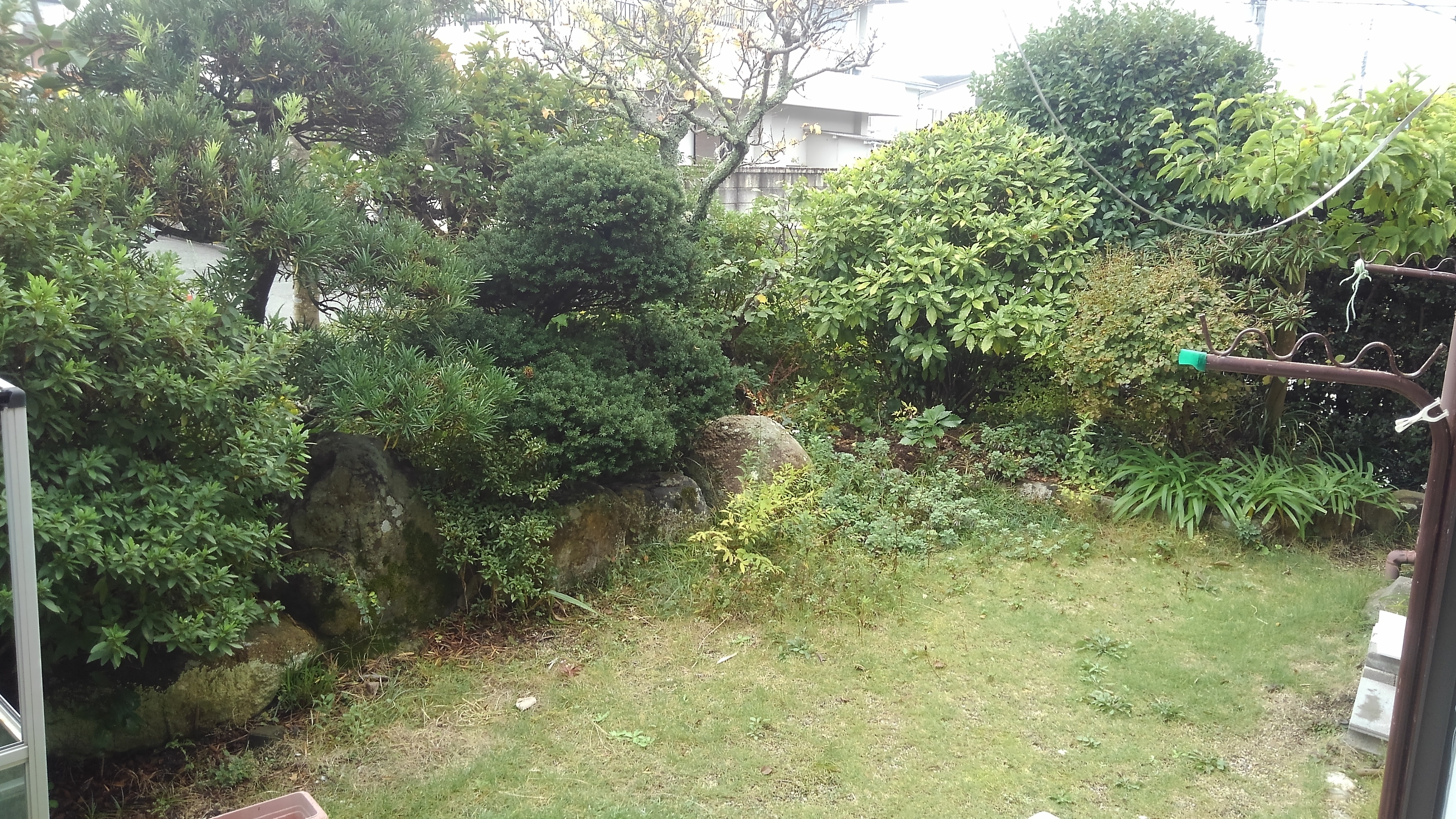KIMG0239.JPG