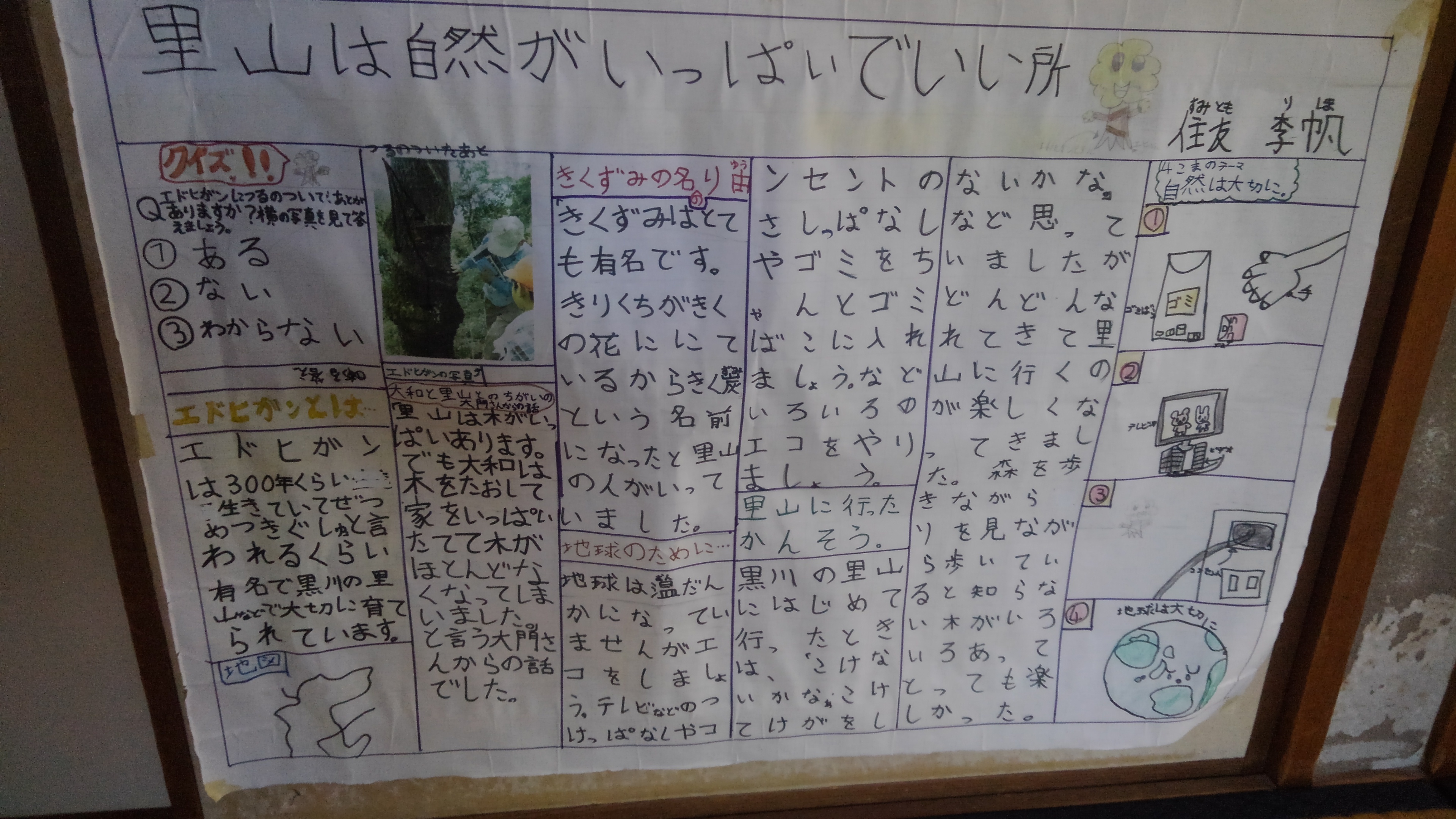 KIMG0289.JPG