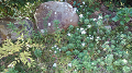 KIMG0292_thumb.png