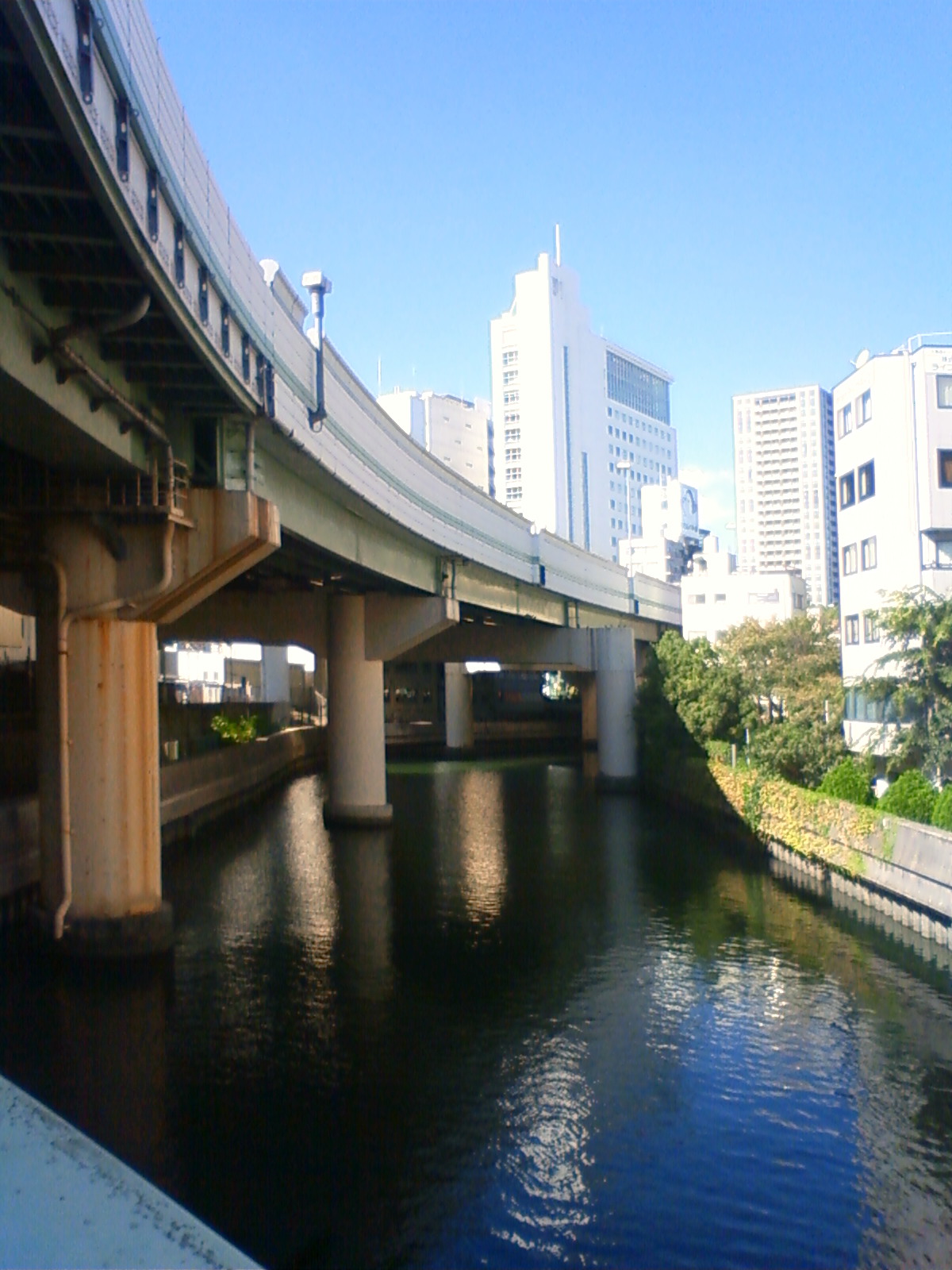 NEC_0751.JPG