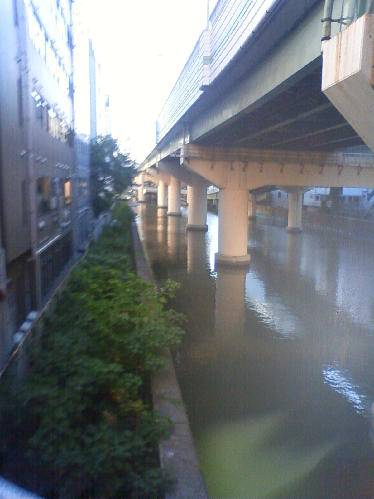 NEC_0767.JPG