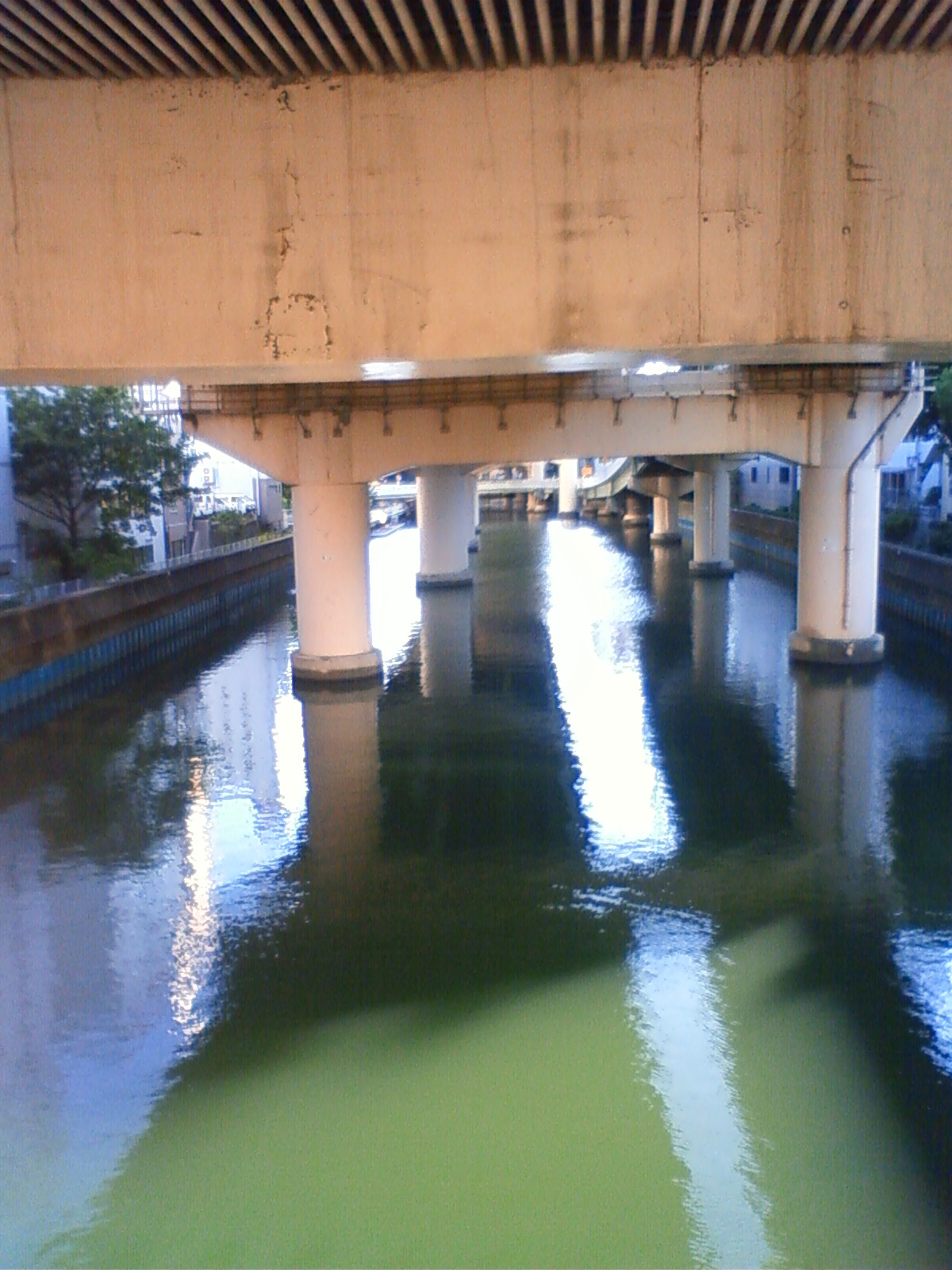 NEC_0769.JPG