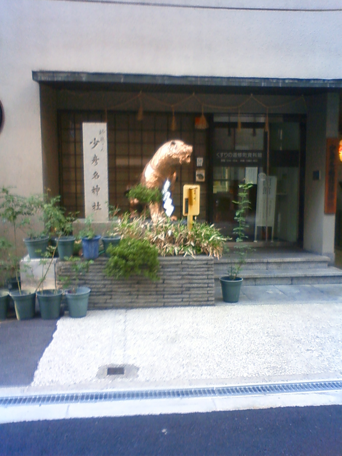 NEC_0774.JPG