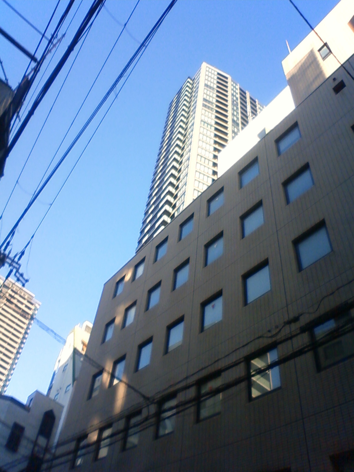 NEC_0776.JPG