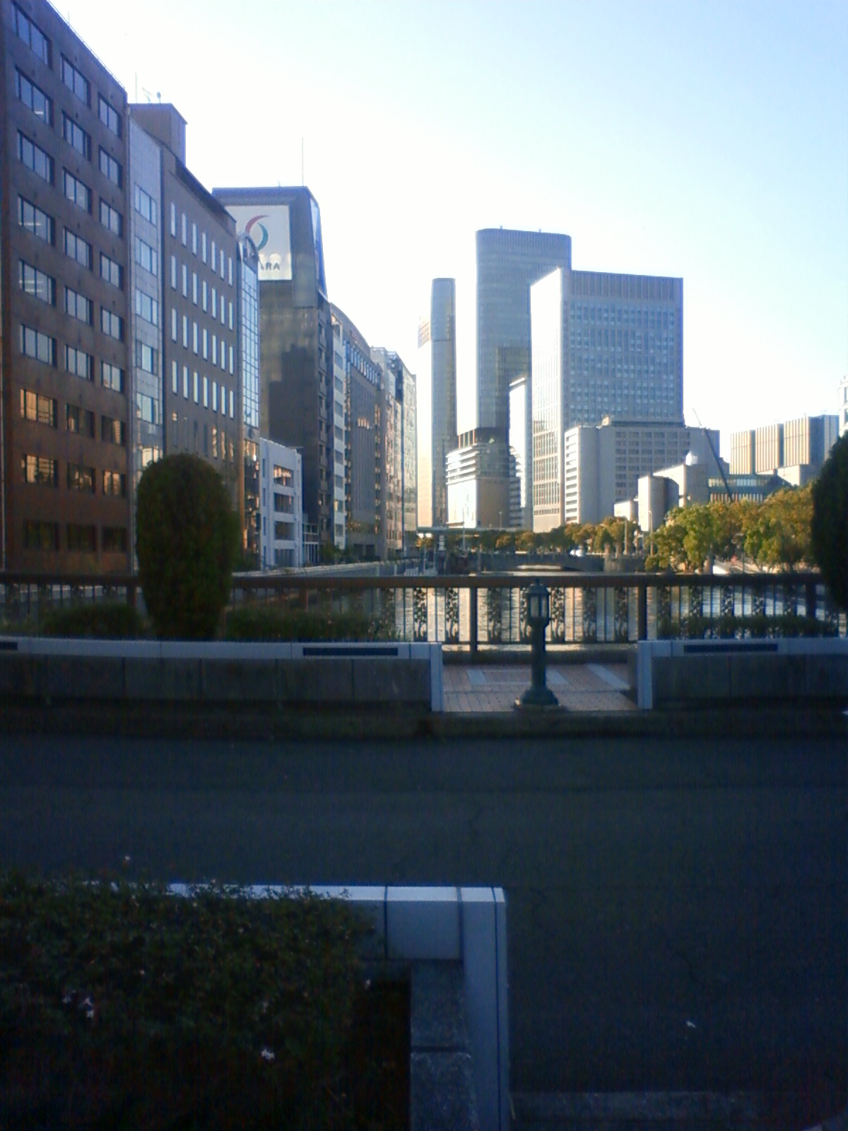 NEC_0782.JPG