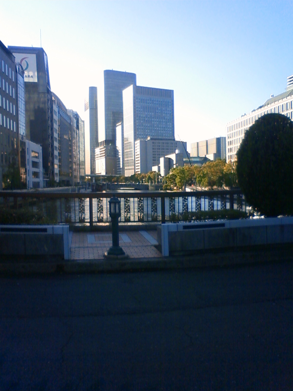 NEC_0783.JPG