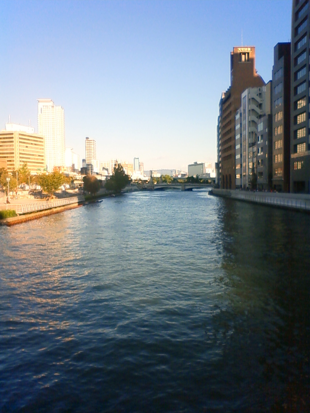 NEC_0784.JPG
