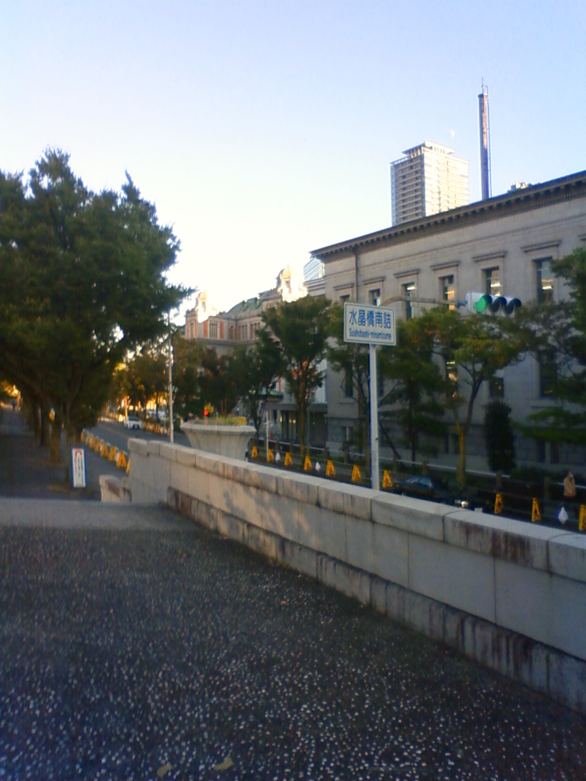 NEC_0785.JPG