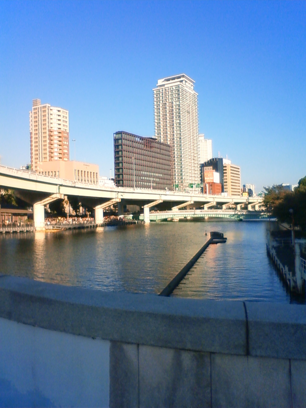 NEC_0786.JPG
