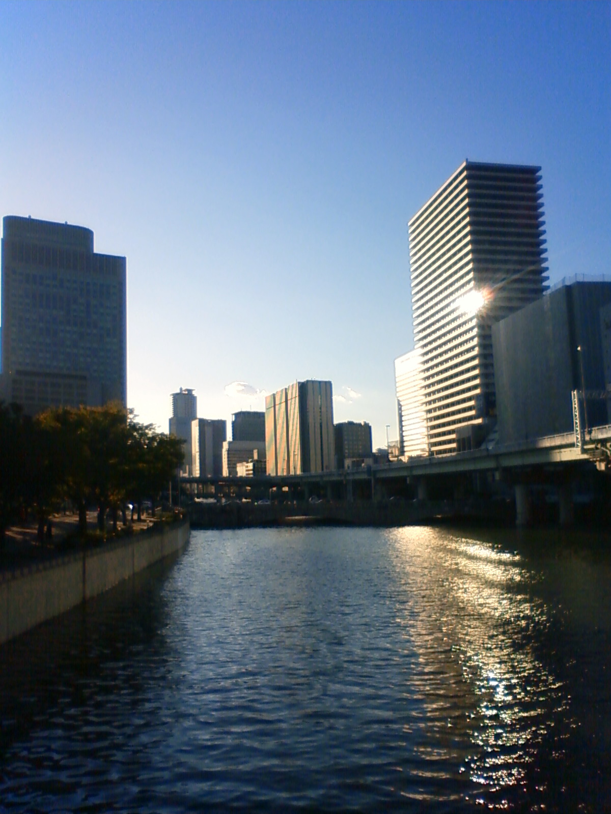 NEC_0787.JPG