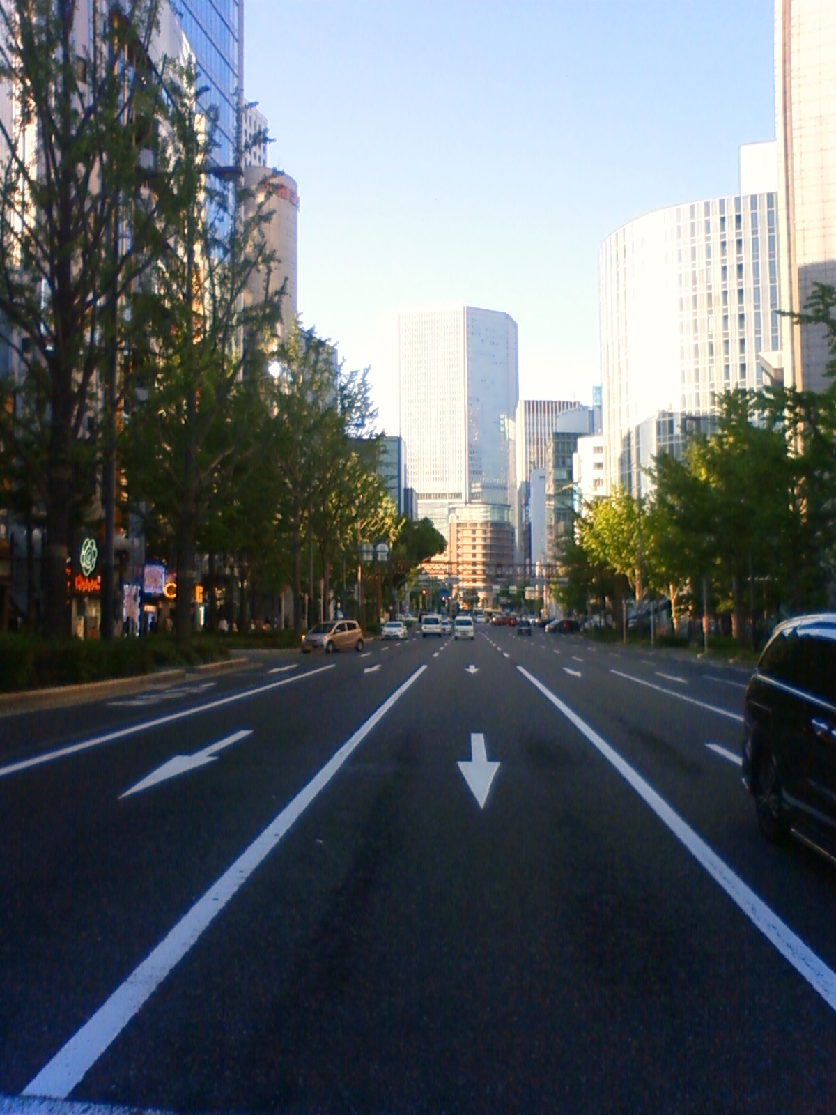 NEC_0790.JPG
