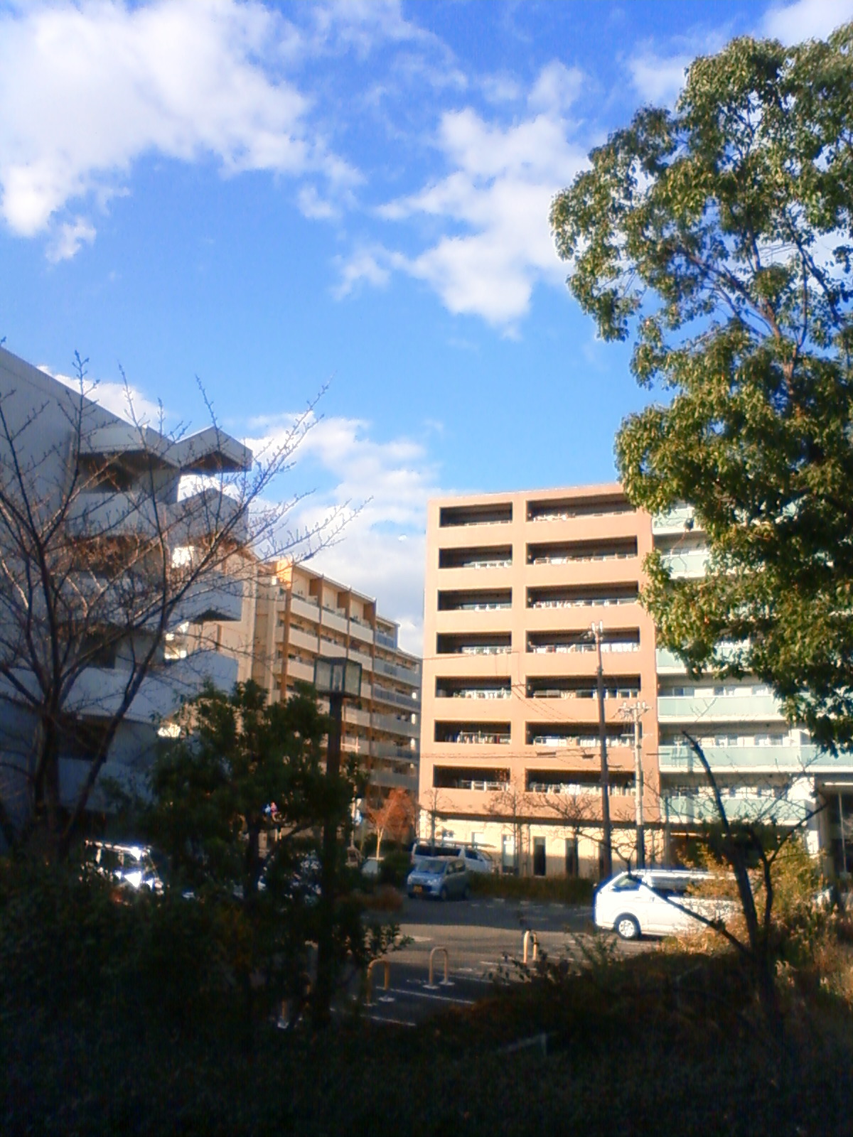 NEC_0844.JPG