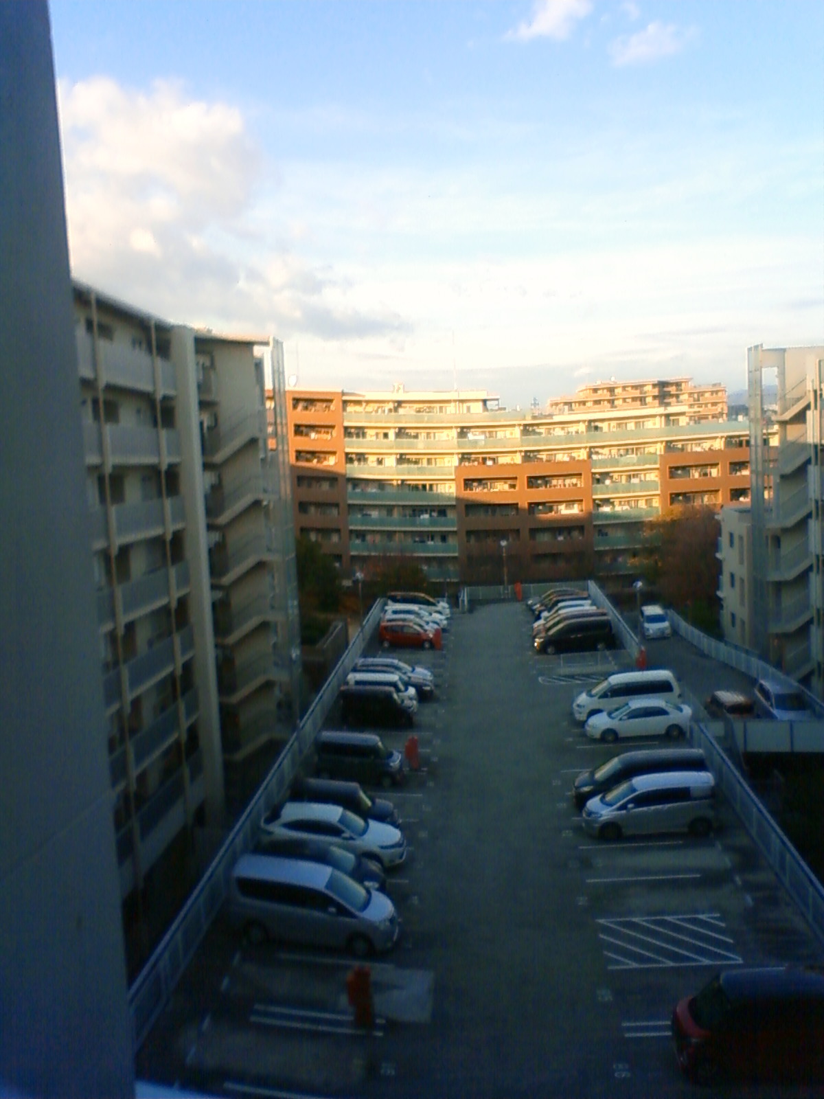 NEC_0845.JPG