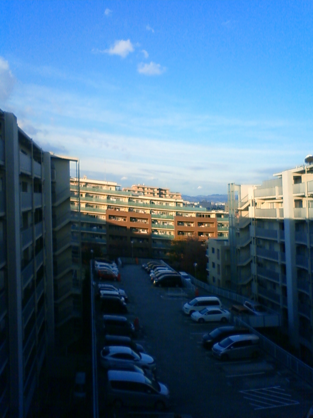 NEC_0846.JPG