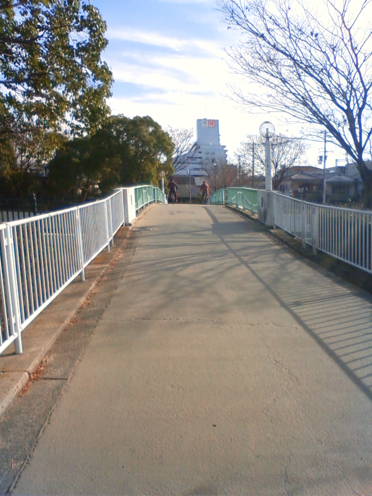 NEC_0853.JPG