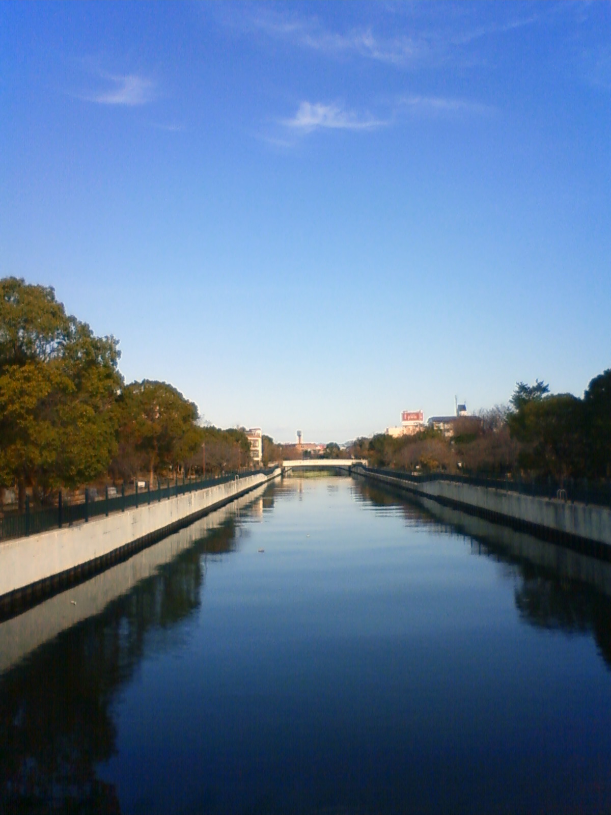 NEC_0854.JPG