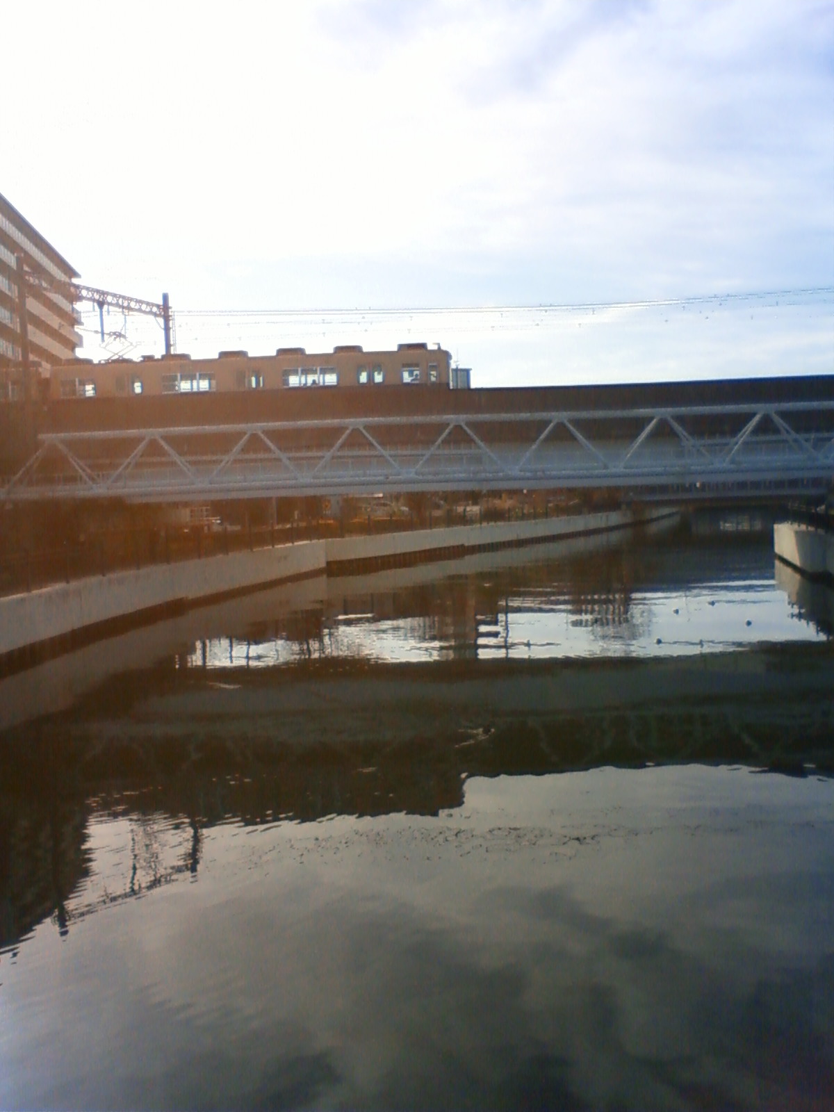 NEC_0855.JPG