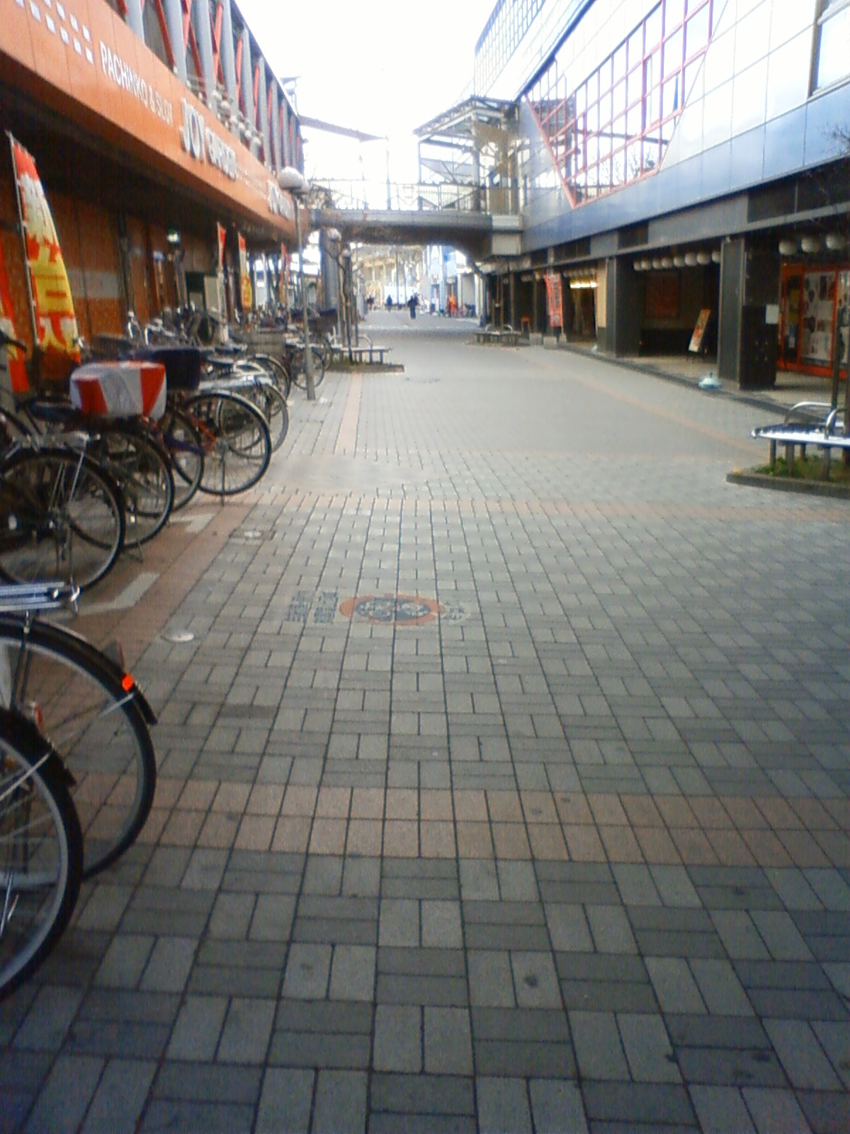 NEC_0859.JPG