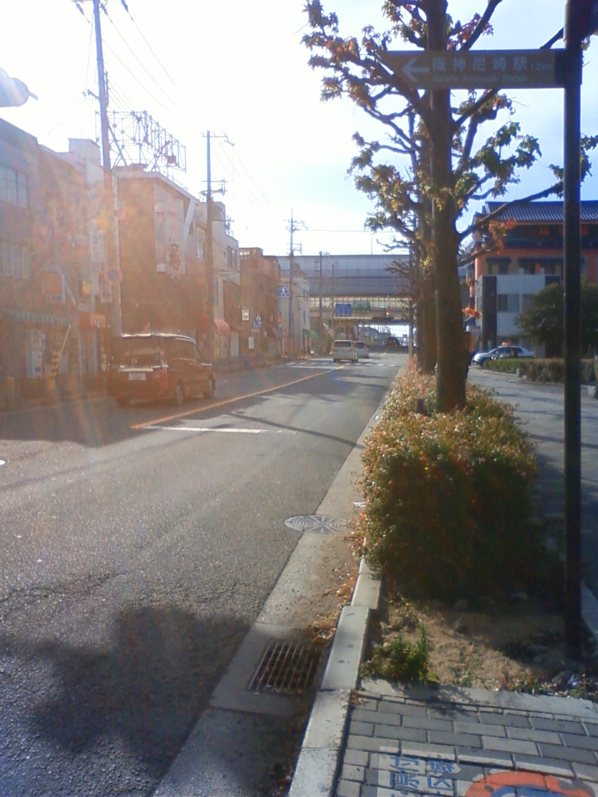 NEC_0861.JPG