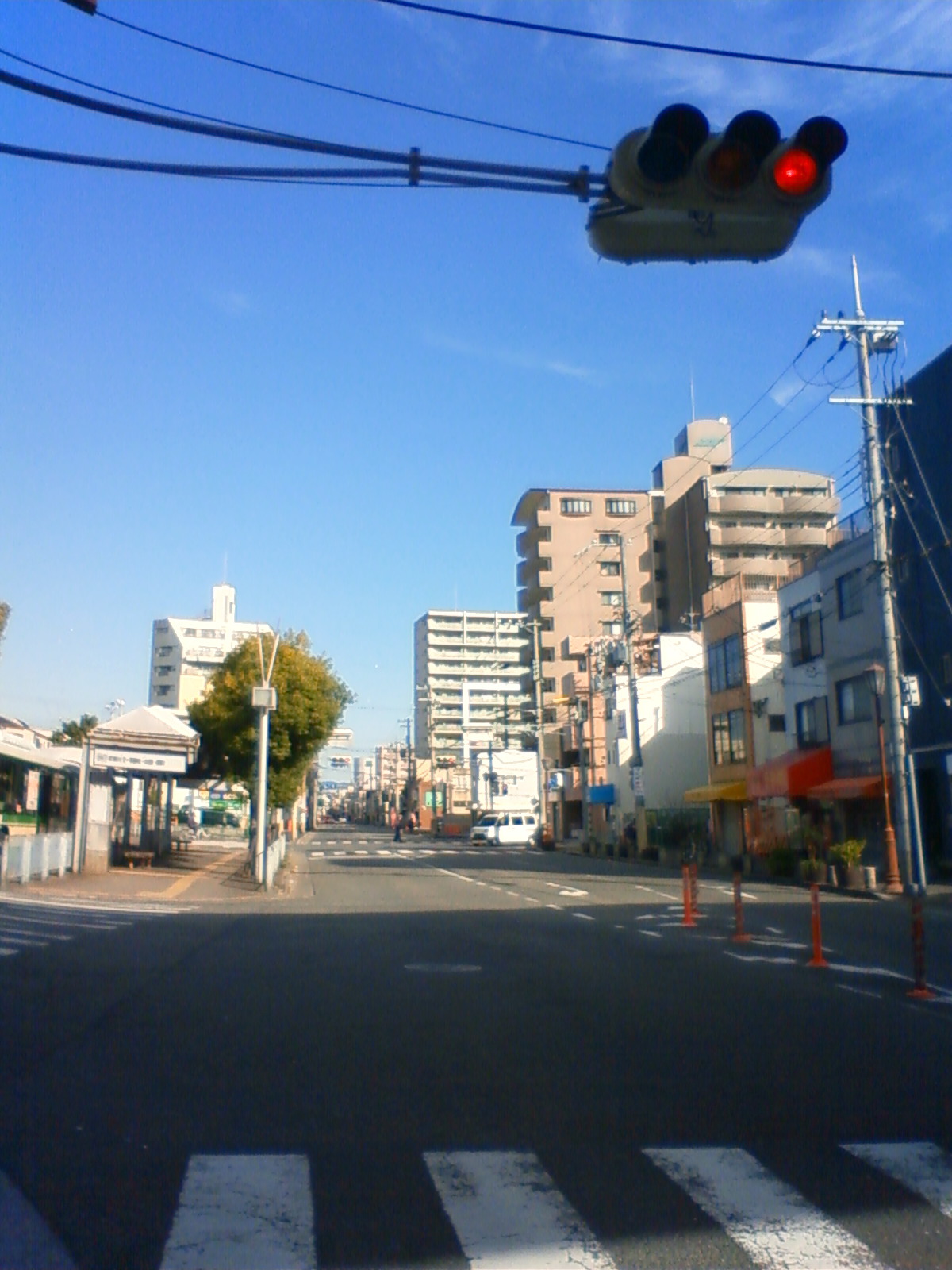 NEC_0862.JPG