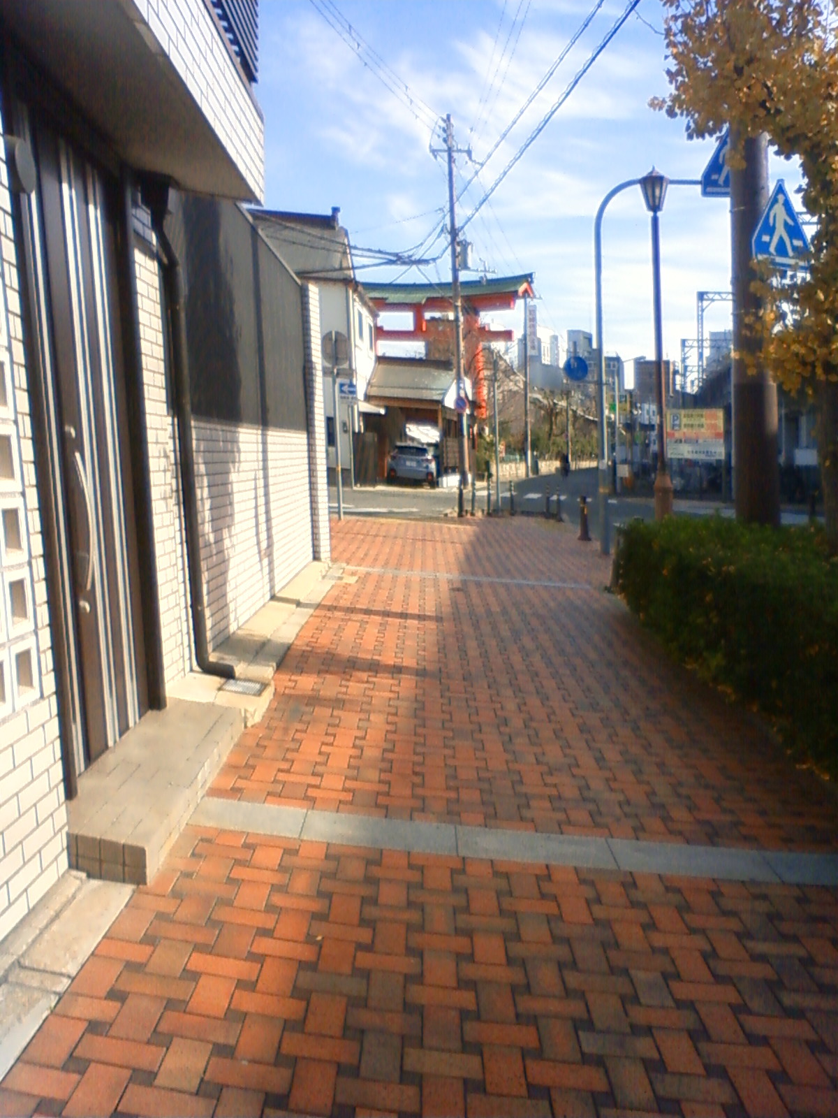 NEC_0867.JPG