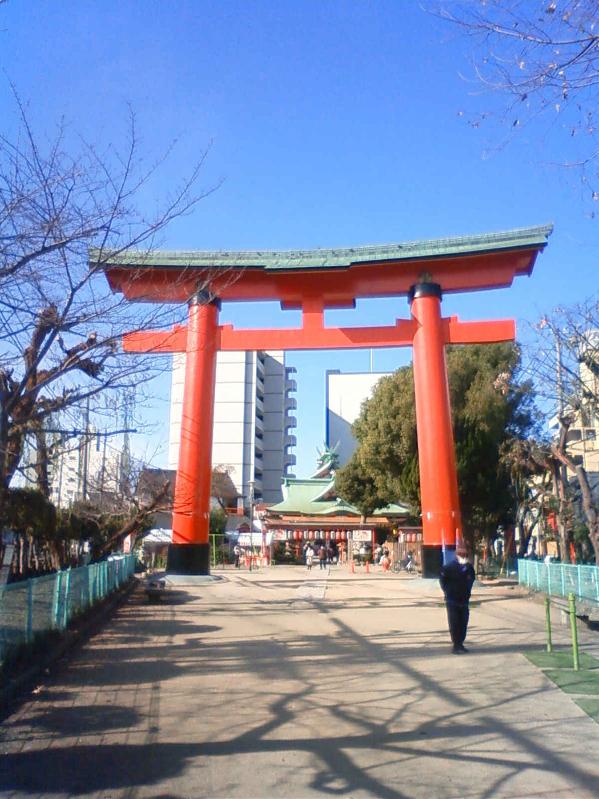 NEC_0871.JPG