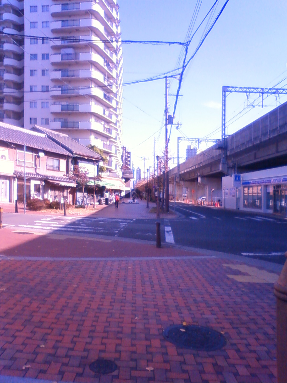 NEC_0875.JPG